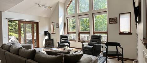 TV connectée, cheminée, lecteur de DVD, livres