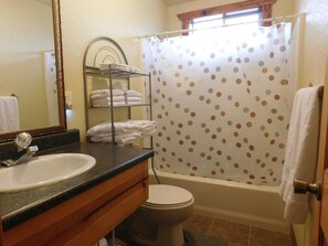 Combined shower/bathtub, hair dryer, towels, toilet paper