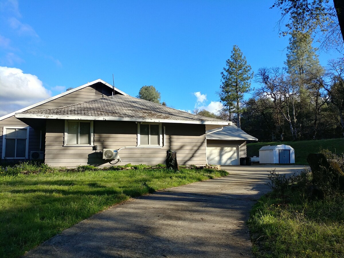 Imagen de perfil del propietario o de la propietaria