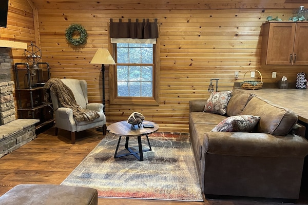 TV connectée, cheminée, lecteur de DVD