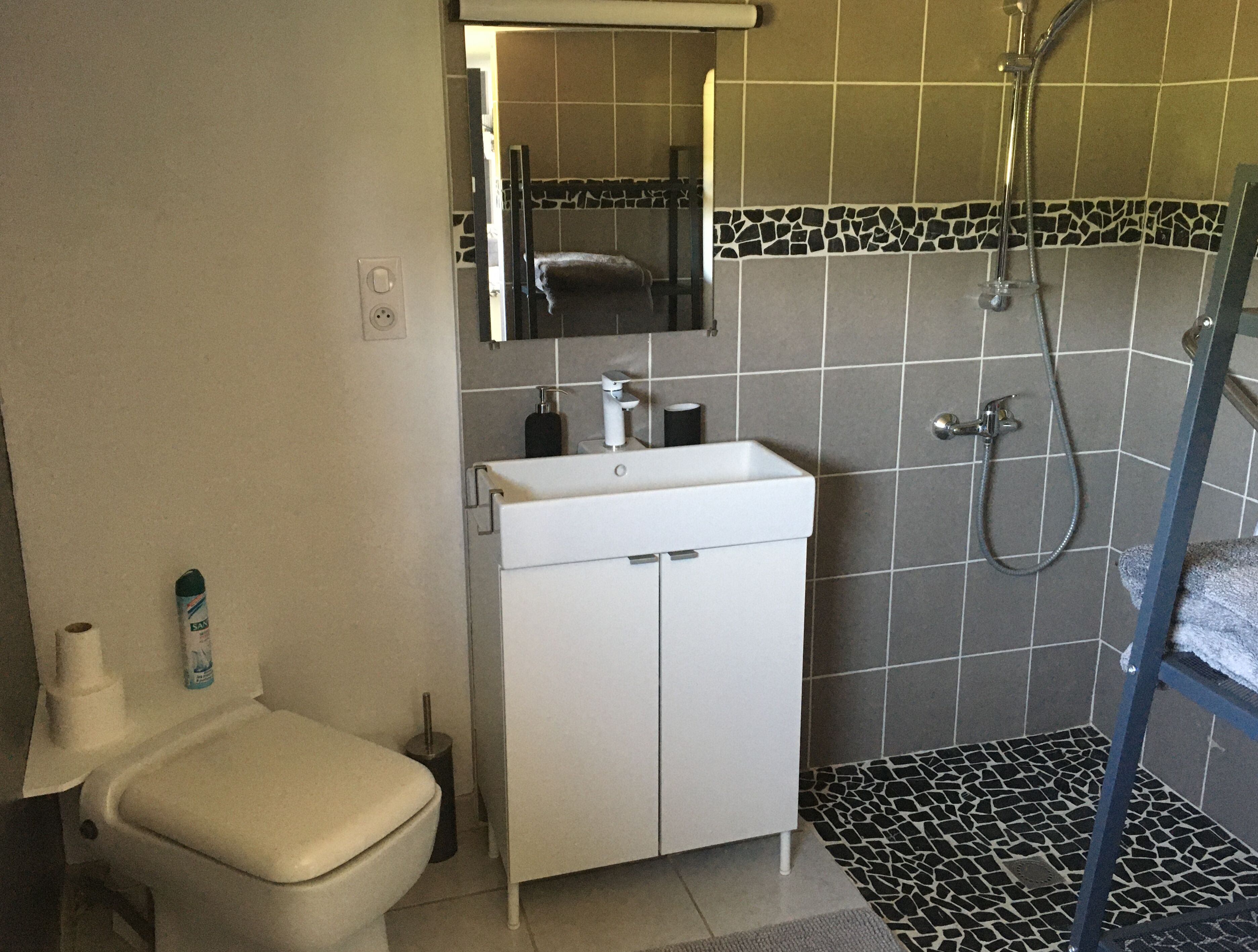 Shower, hair dryer, towels, toilet paper