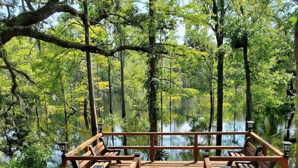 Una terraza de madera con bancos que da a un cuerpo de agua tranquilo rodeado de árboles.