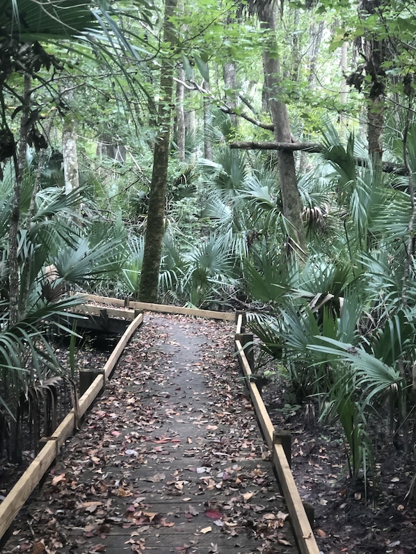 Overnattingsstedets uteområder