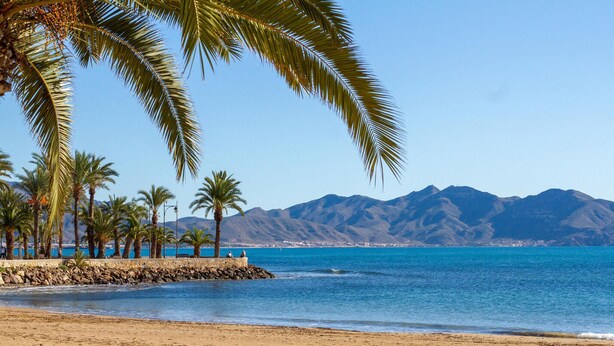 Una spiaggia con palme, un muro di pietra e una montagna sullo sfondo.