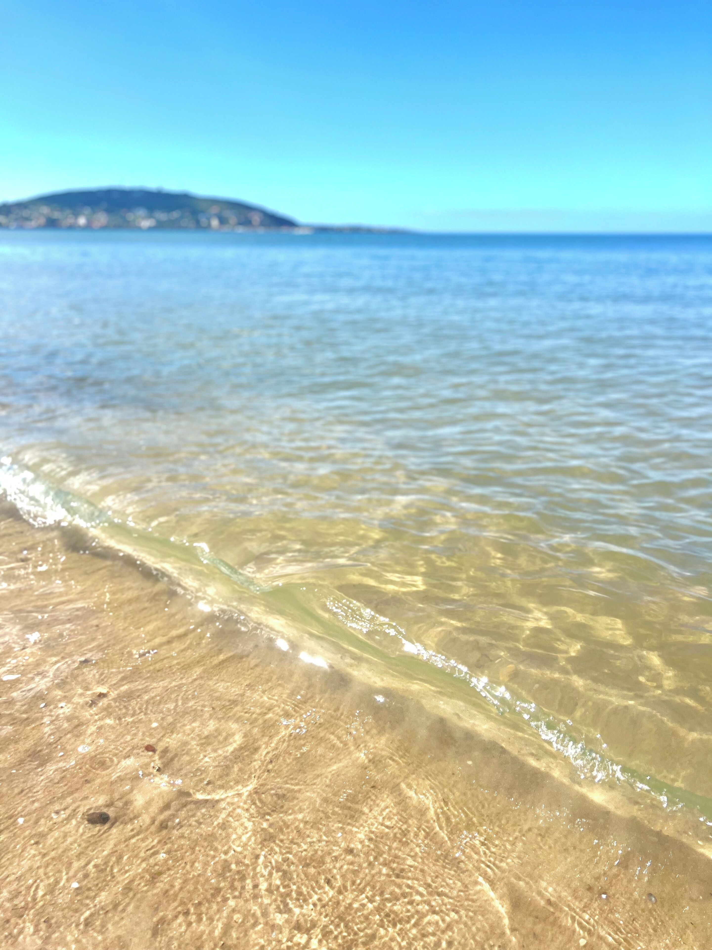 Plage à proximité, chaises longues, serviettes de plage