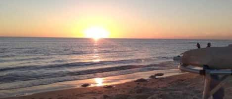 Playa en los alrededores, camastros y toallas de playa 