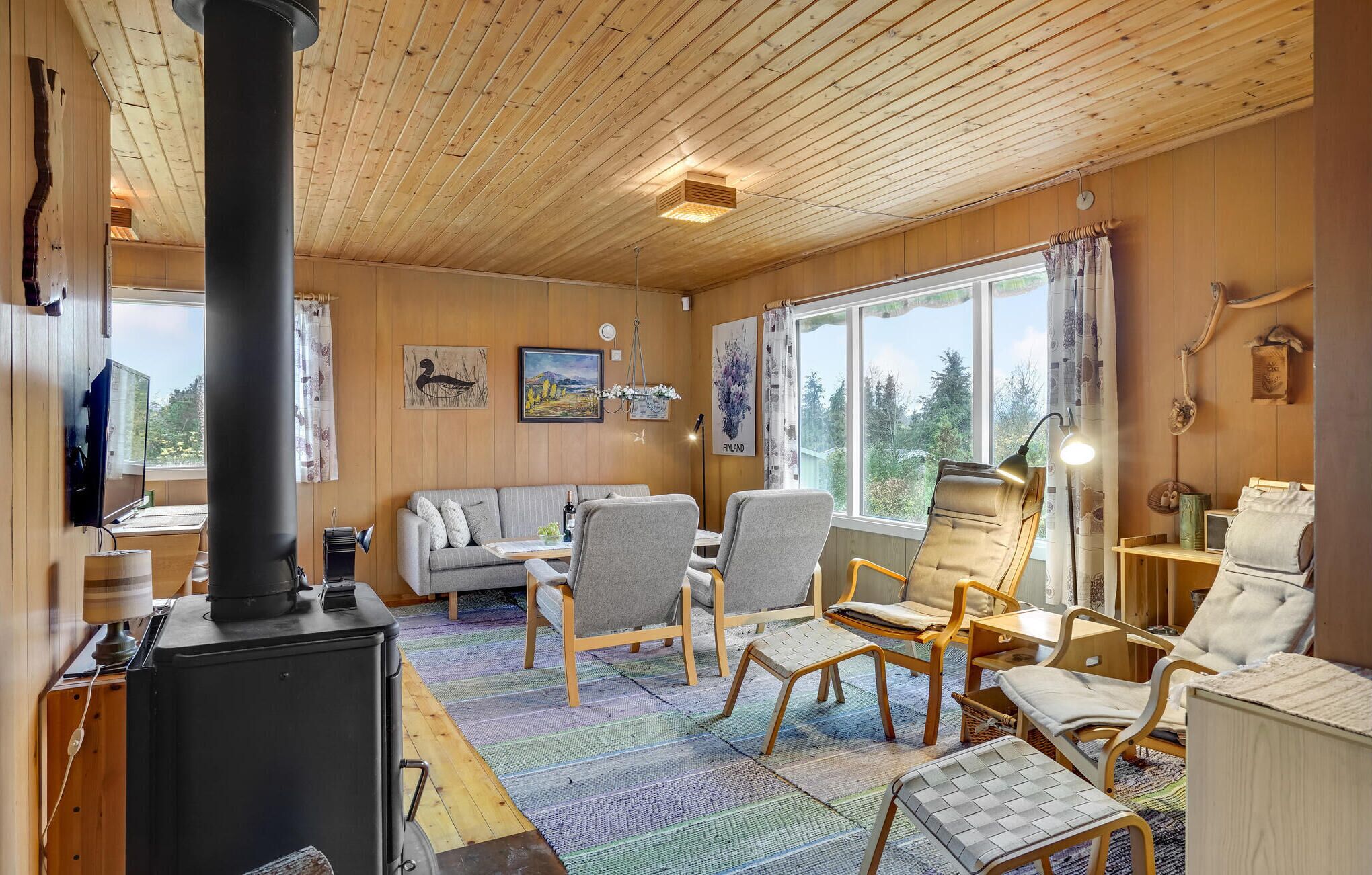 壁炉、DVD 播放器