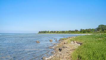 Tæt på stranden, fiskeri