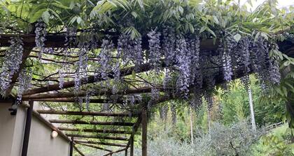 Private Tuscan Retreat Bagnone