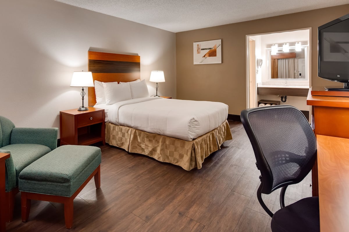 Executive Single Room | In-room safe, desk, laptop workspace, blackout curtains