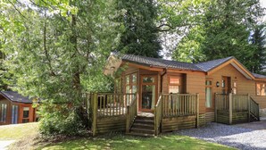 A wooden cabin with a porch, surrounded by trees. - Forest Pines Lodge (Windermere)