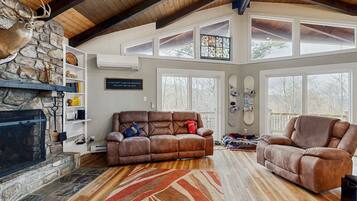 Télévision, cheminée, jeux vidéo, lecteur de DVD