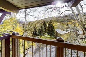 Property grounds - Lovely getaway minutes from ski slopes with mountain views, fireplace, & balcony (Snowmass Village)