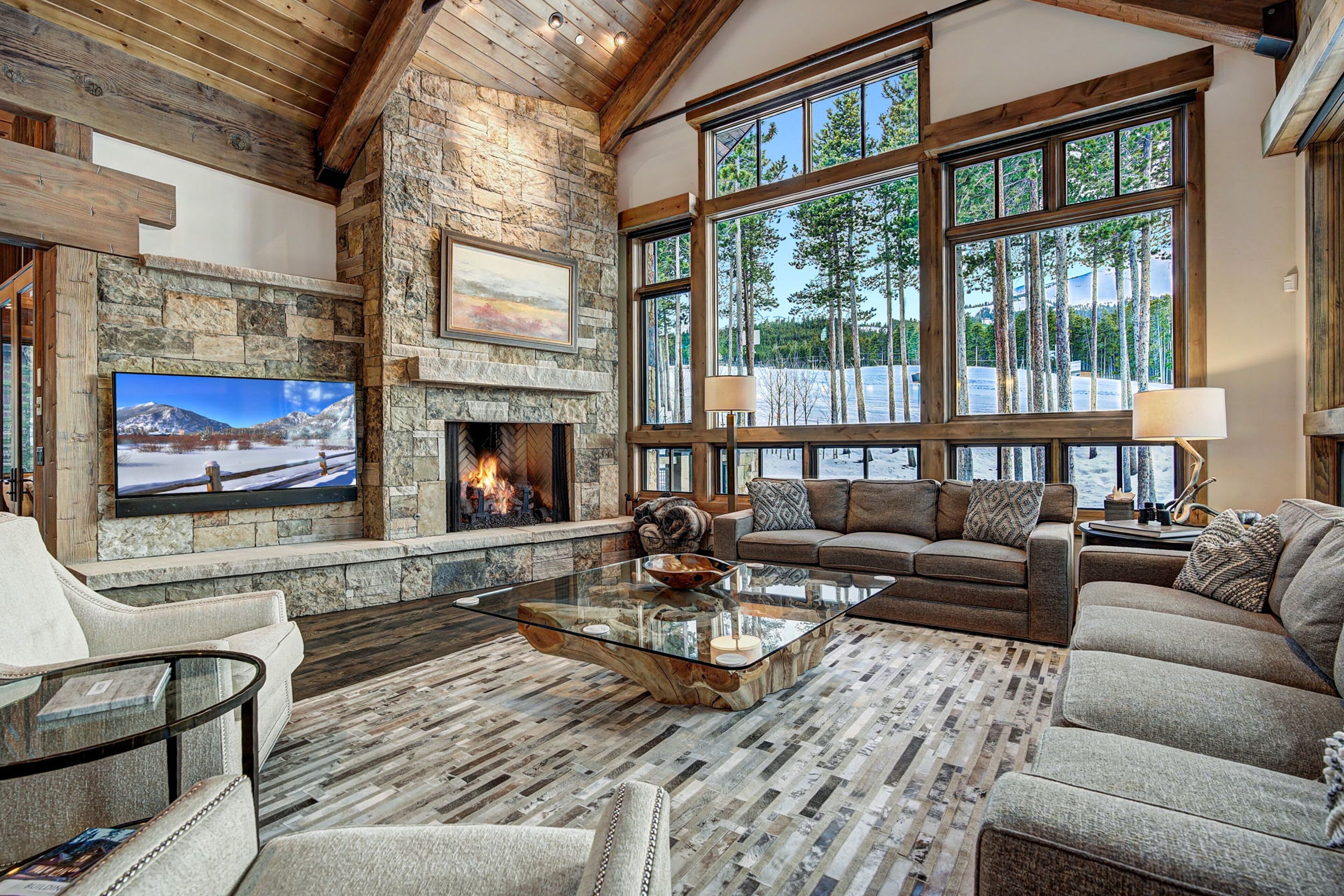 TV, fireplace, video games, DVD player