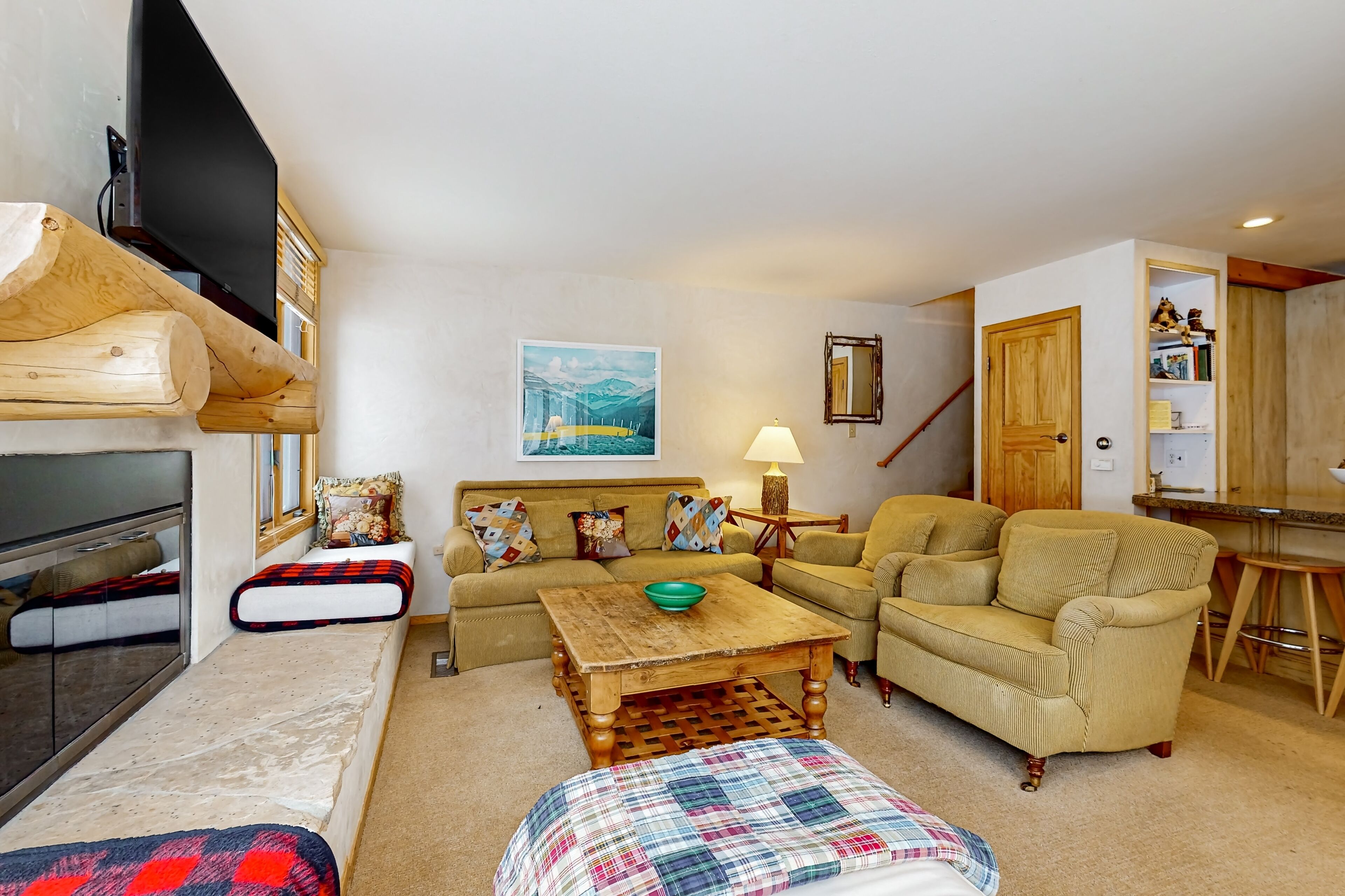 TV, fireplace, DVD player, books