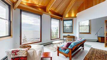 平板电视、壁炉、DVD 播放器、书