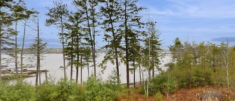 Àrea exterior de l'allotjament