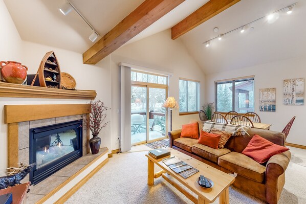 TV, fireplace, Netflix, books