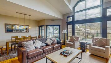 TV, fireplace, DVD player, books