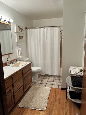 A bathroom with a wooden vanity, a sink, a toilet, a shower curtain, and a rug. - Montana Home close to golfing, fishing, skiing, hiking, hunting and downtown (Dillon)