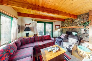 TV, fireplace, DVD player, books