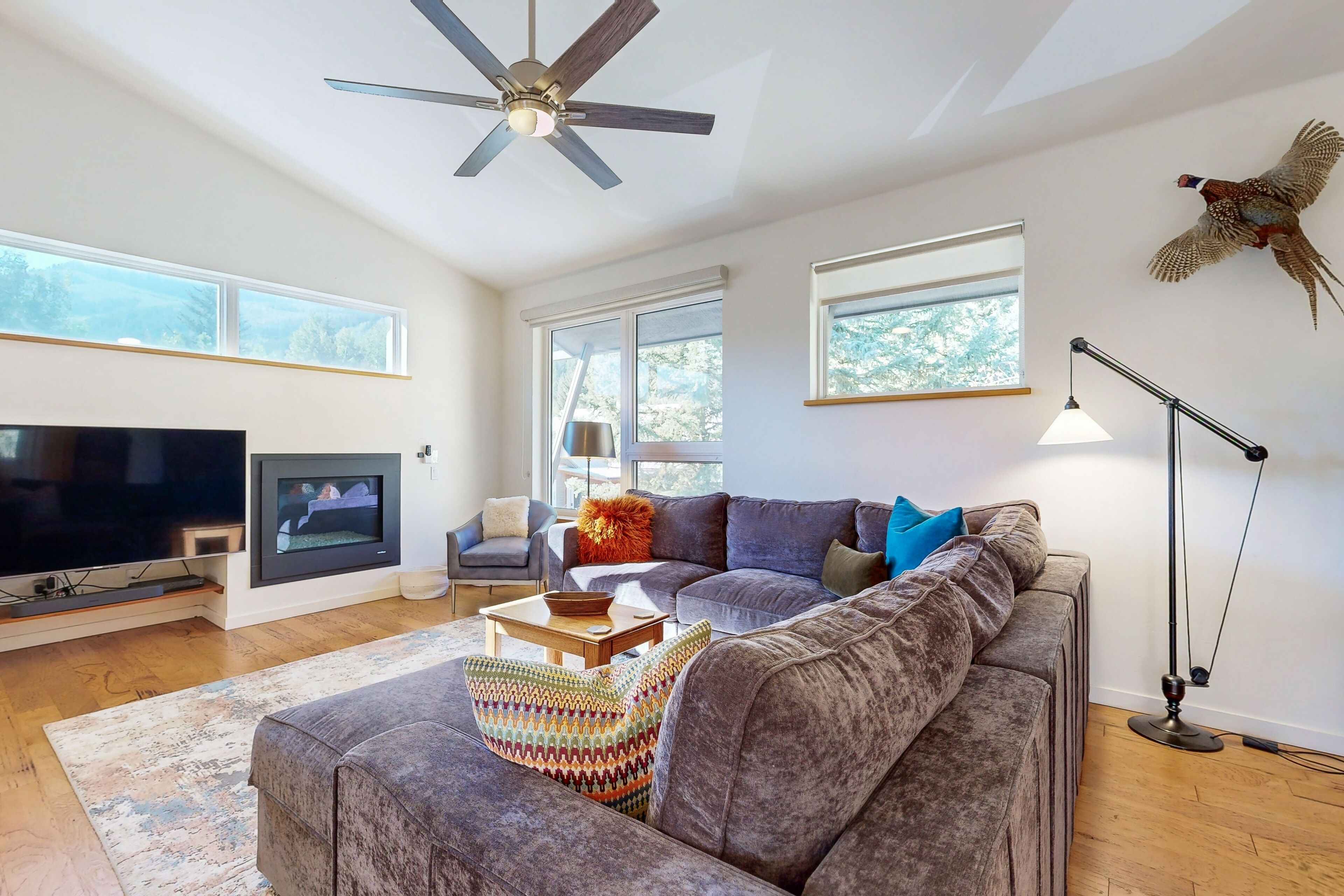 电视、壁炉、书