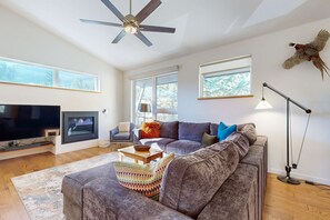 TV, fireplace, books