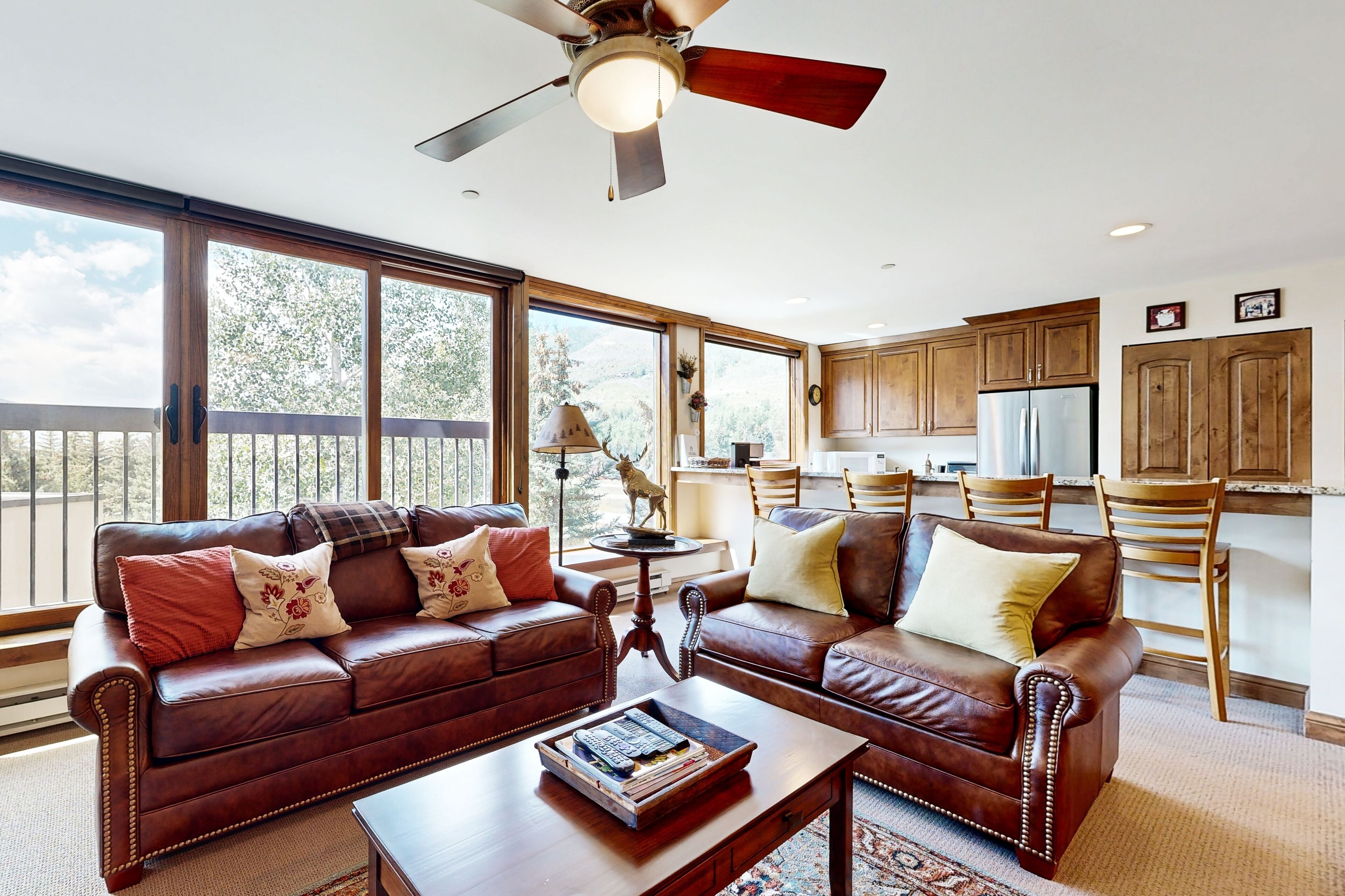 电视、壁炉、电子游戏、DVD 播放器