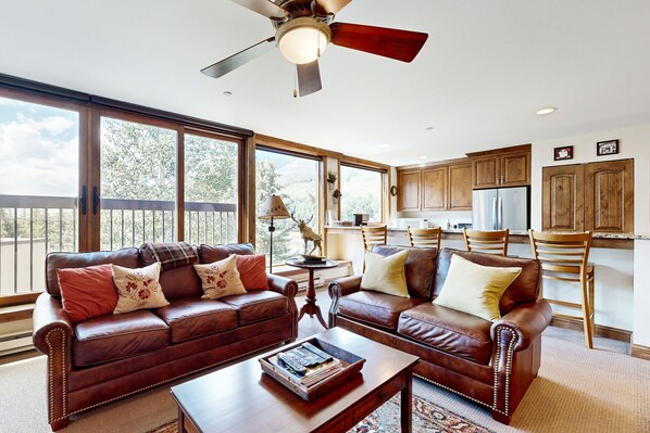 TV, fireplace, video games, DVD player