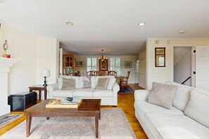 TV, fireplace, books