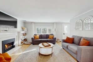 TV, fireplace, books