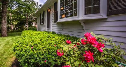 Cape Charmer | Walk to Market, Golf & Eateries | New Kitchen & Big Backyard