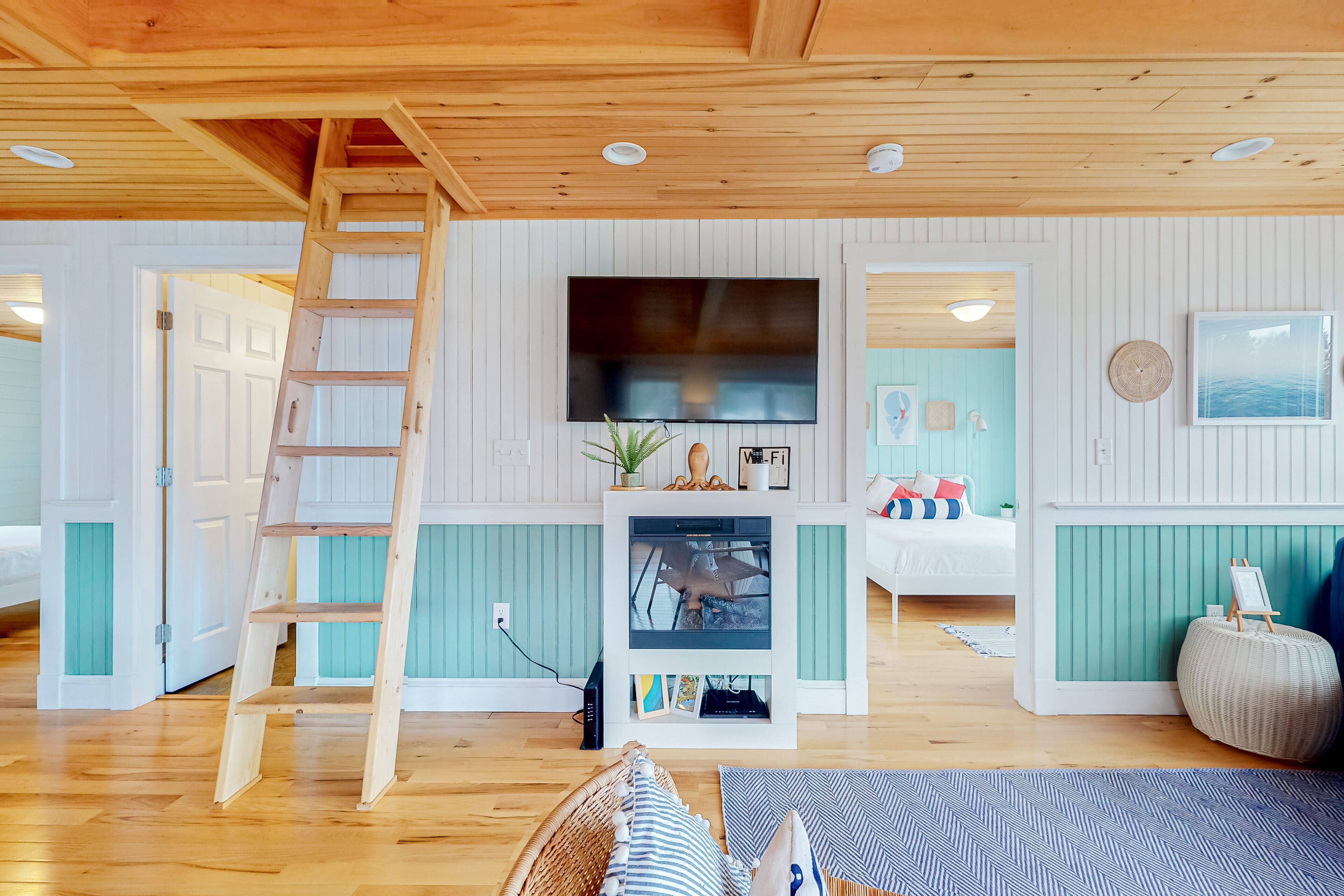 Télévision, cheminée, livres