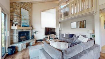 TV, fireplace, books