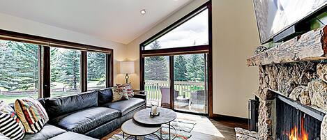 Flat-screen TV, fireplace, books