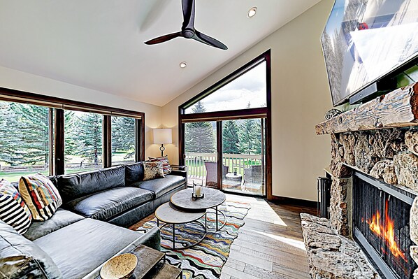 Flat-screen TV, fireplace, books