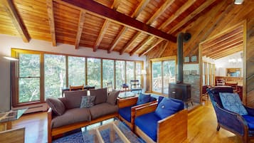 Télévision à écran plat, cheminée, lecteur de DVD, livres