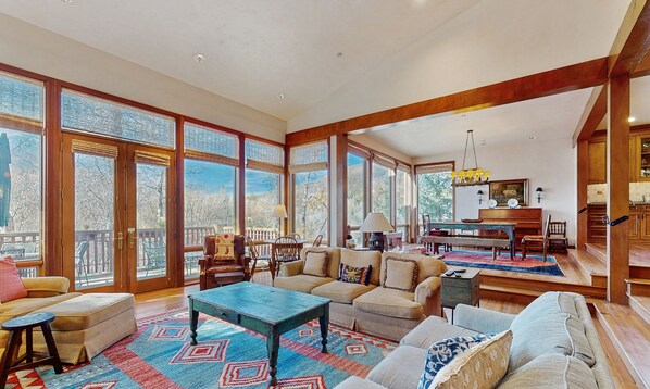 TV, fireplace, books