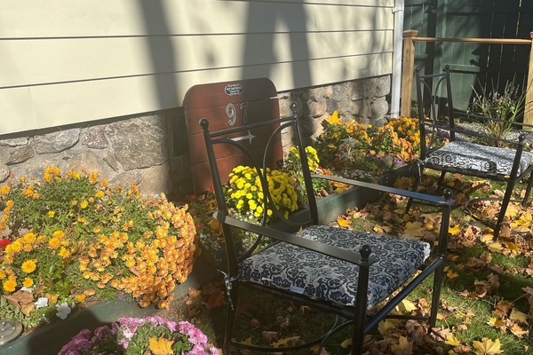 Terrein van de accommodatie