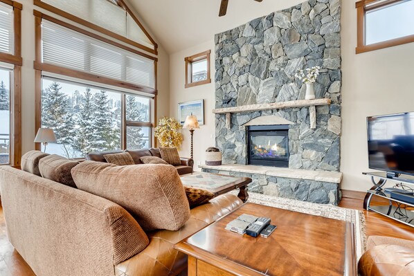 TV, fireplace, books, streaming services