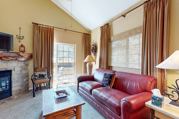 TV, fireplace, DVD player, books