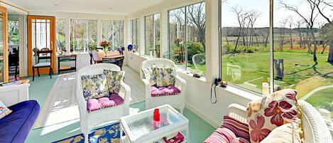 TV, lareira, DVD player, livros