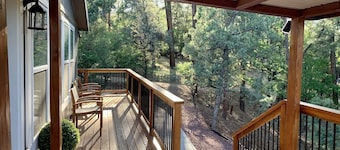 Entire Home! Big Style, Big Views, Great Location!