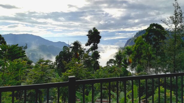 A lush green landscape with a mountain range in the background and a wooden railing in the foreground.