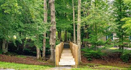 Northwoods F6 - Short walk to Timberline Mountain trails, lodge and lifts