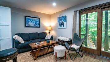 TV, fireplace, DVD player