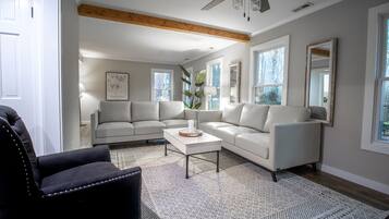 Smart TV, fireplace, video games, books