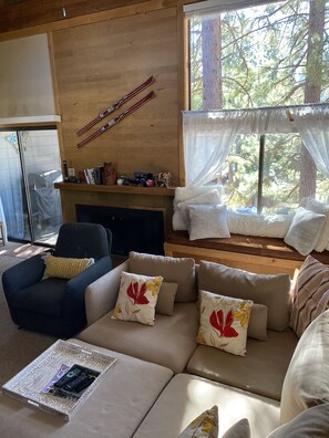 Smart TV, fireplace, video games, DVD player