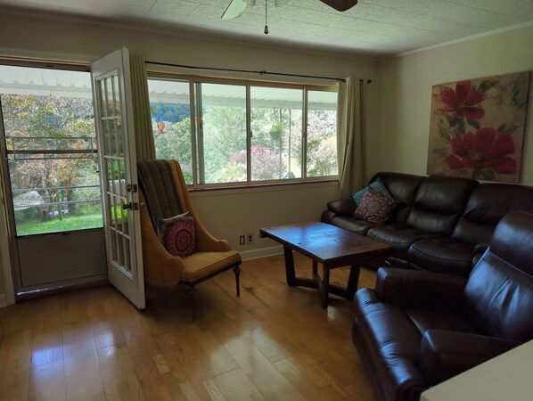 Smart TV, fireplace, books, stereo