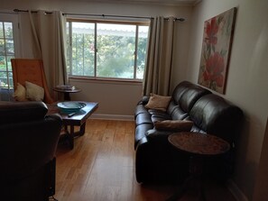 تلفزيون ذكي، مدفأة، كُتُب، ستيريو